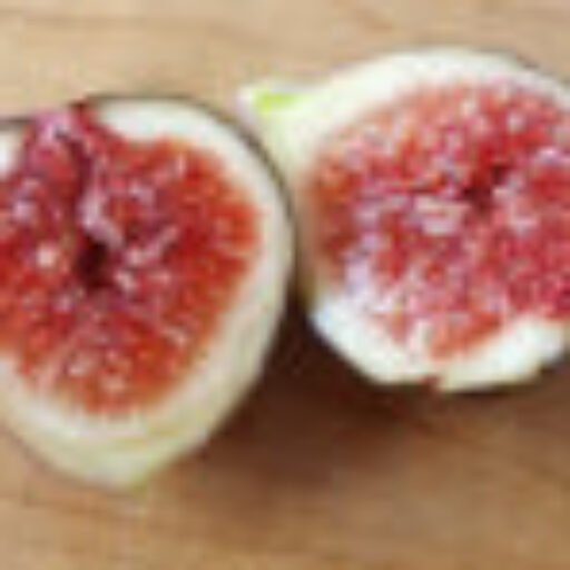 FIG TREE GROWERS NETWORK